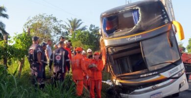 Vídeo: Oito mortes e 24 feridos em acidente com ônibus de turismo na BR-101, próximo a Teixeira de Freitas